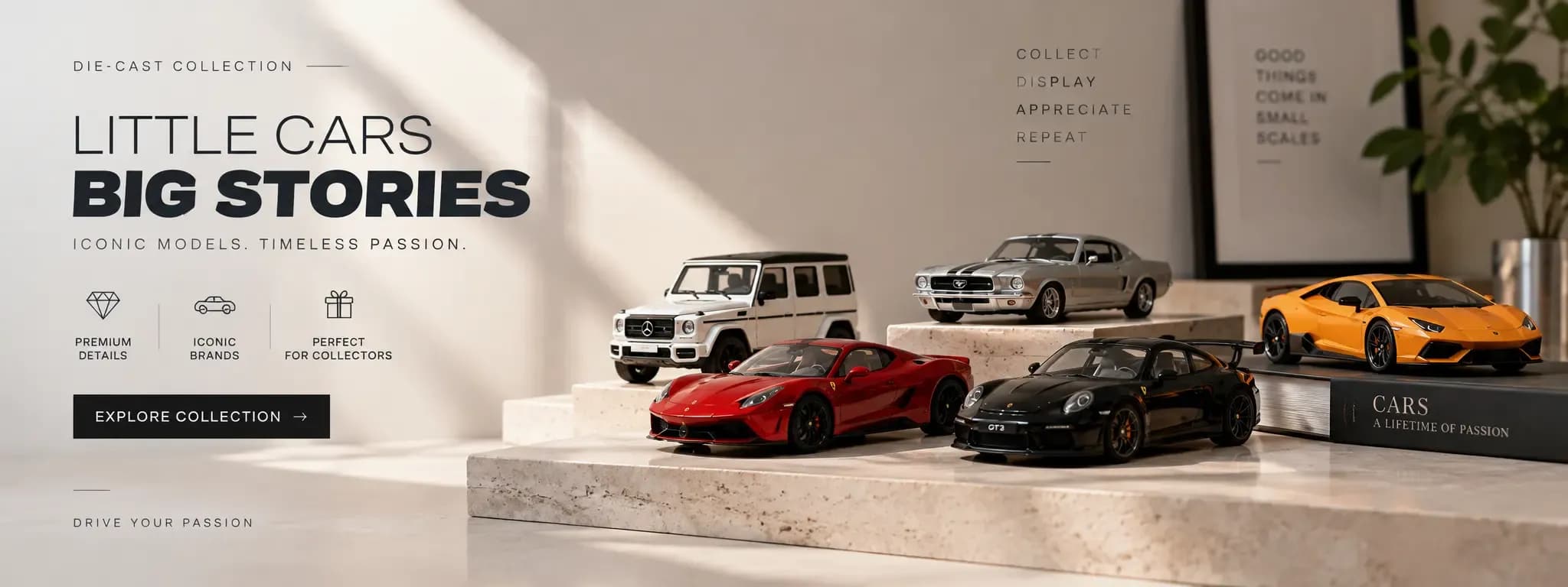 Rareknot Collection Banner